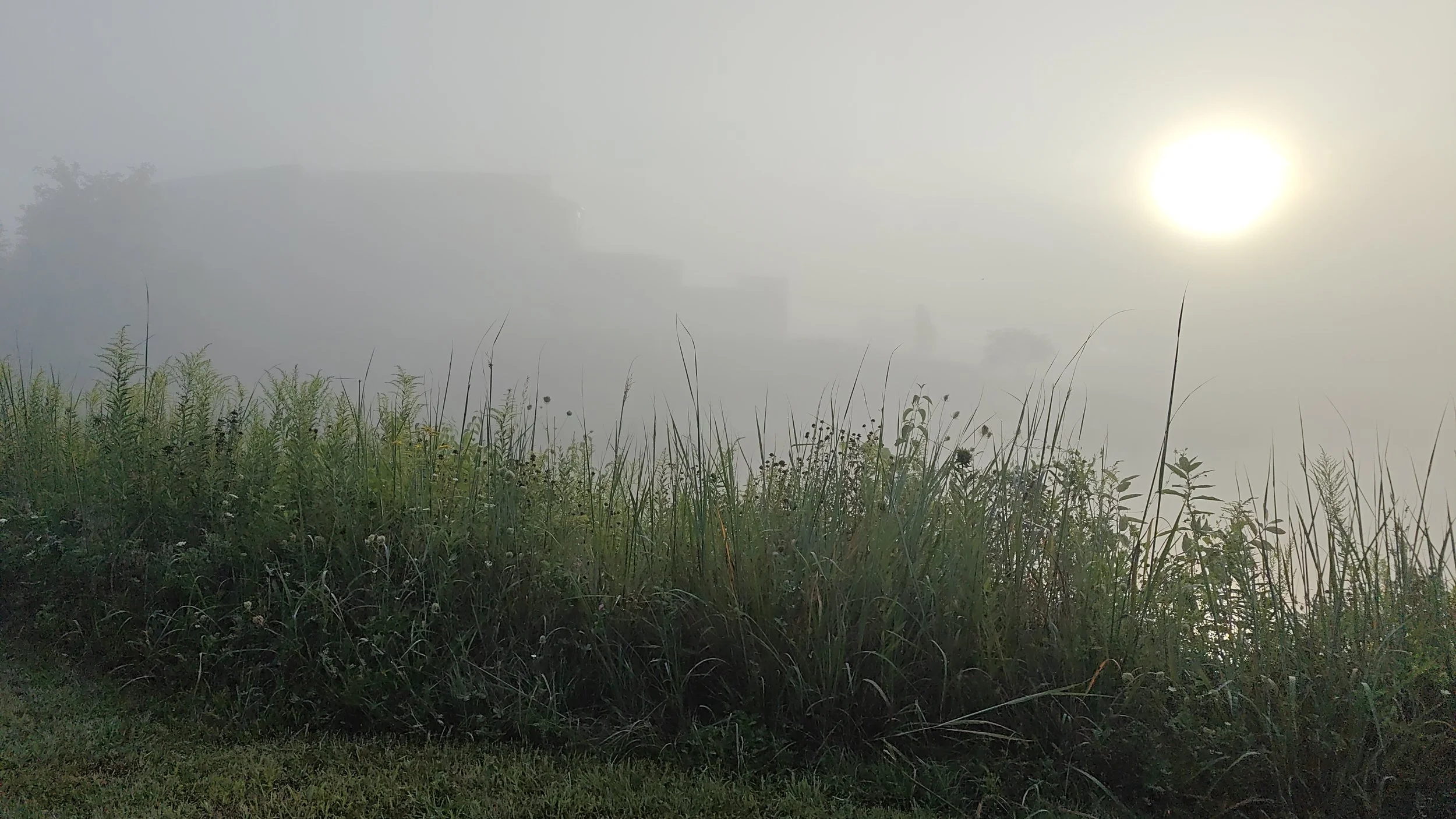 Silent Retreats in 2027 in Illinois with Spiritual Direction
