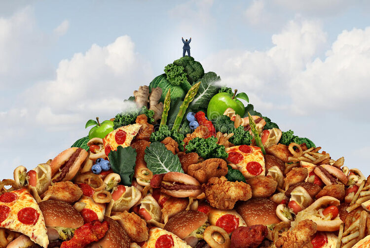 Journey To The Land of Health
