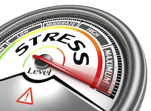 The Toxic Effects of Stress