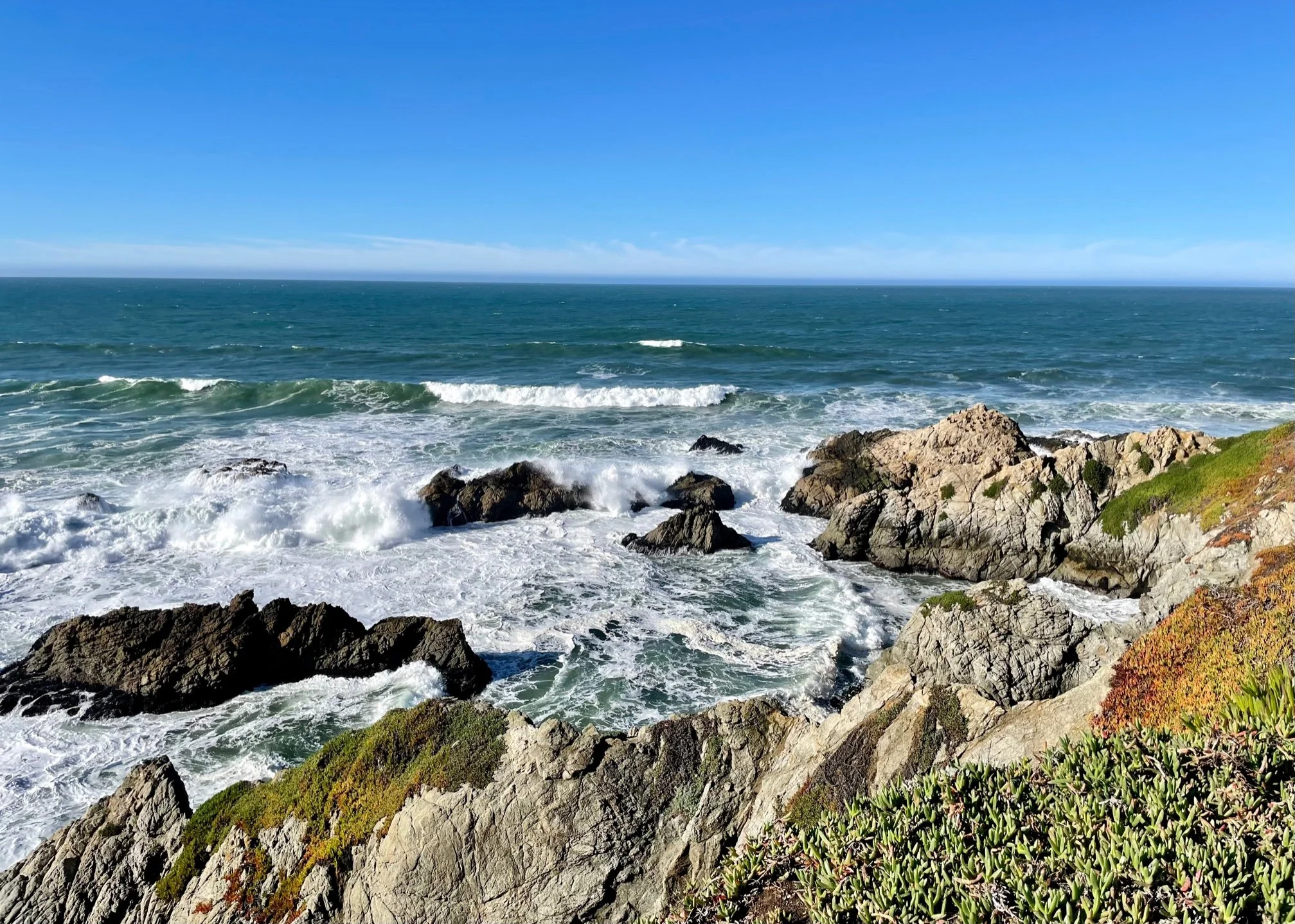 2023 - Jan 1 - Bodega Head (2).jpg