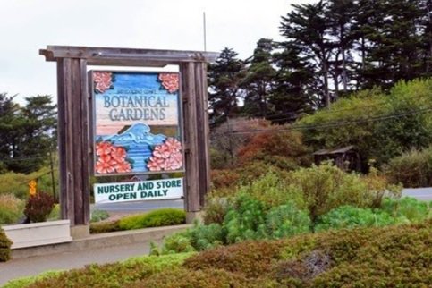 fall+mendo+bot+garden+3.jpg