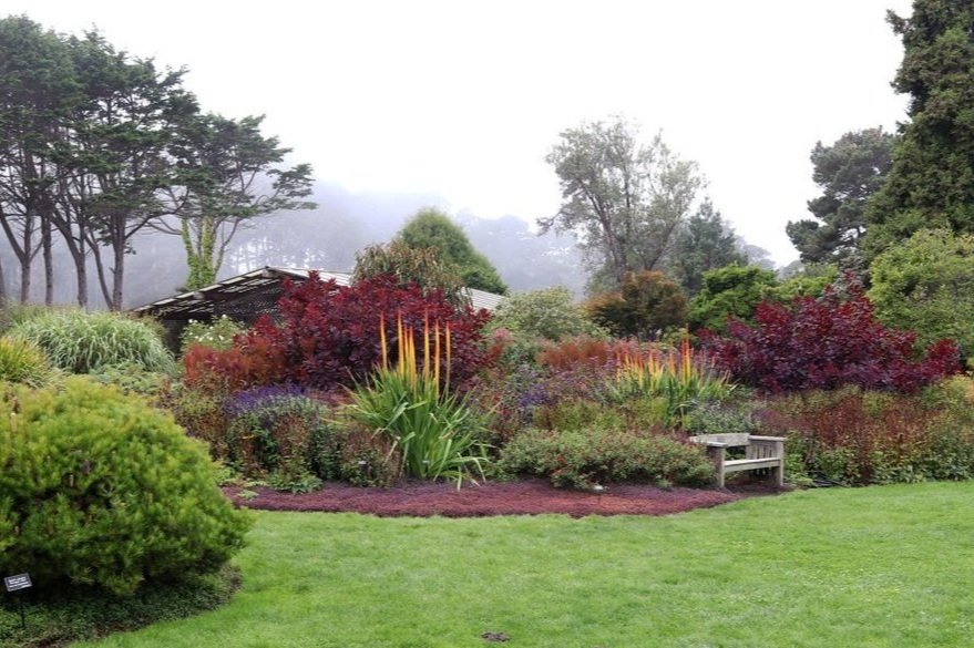 fall%2Bmendo%2Bbot%2Bgarden.jpg