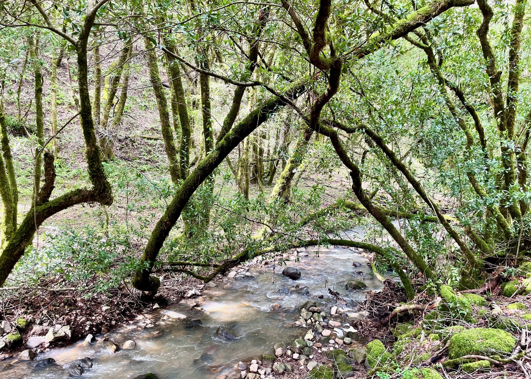 February Nature Adventures