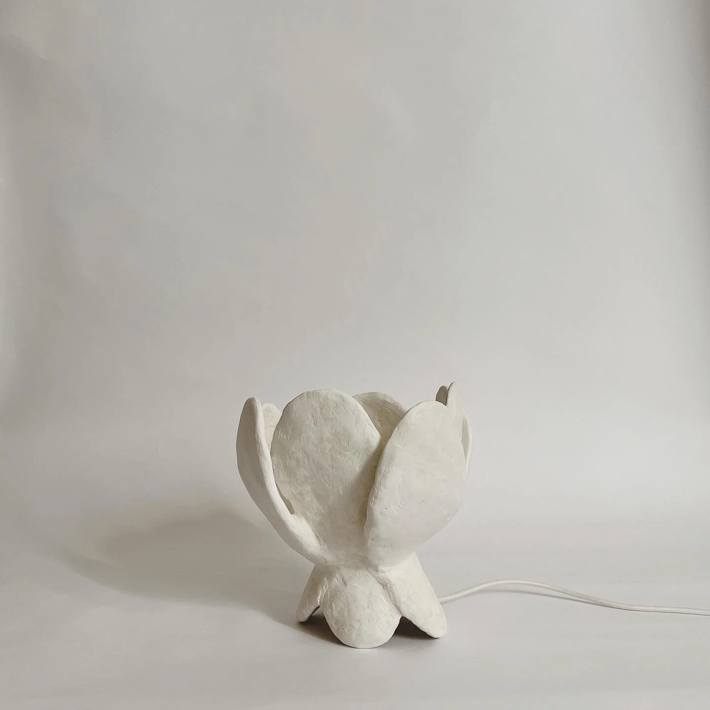 629BA962-A7FF-4586-AE3E-A417F39422FA