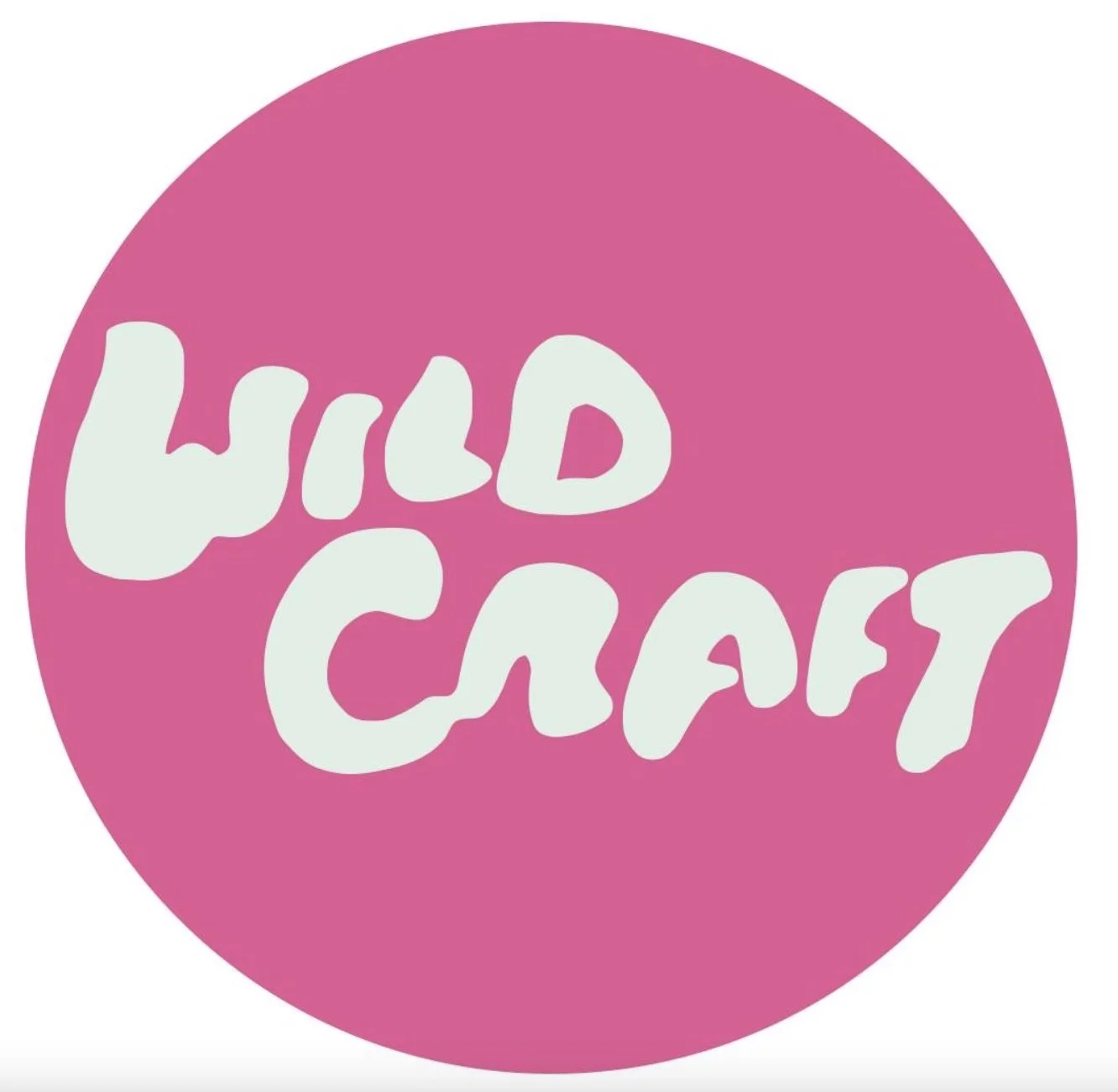 Watercolor Fundamentals for Wildcraft Studio School (room 202)