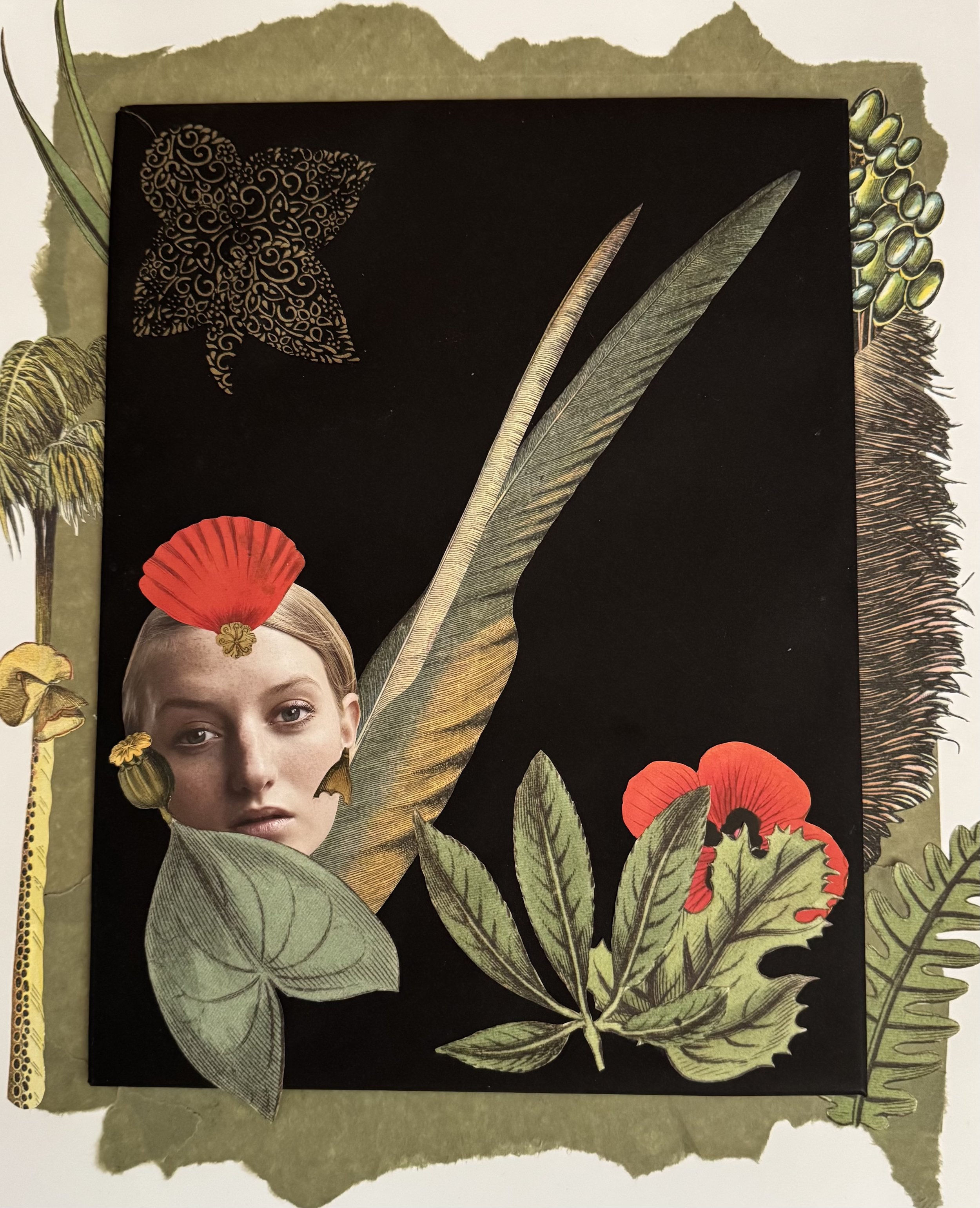 Collage on paper 2025