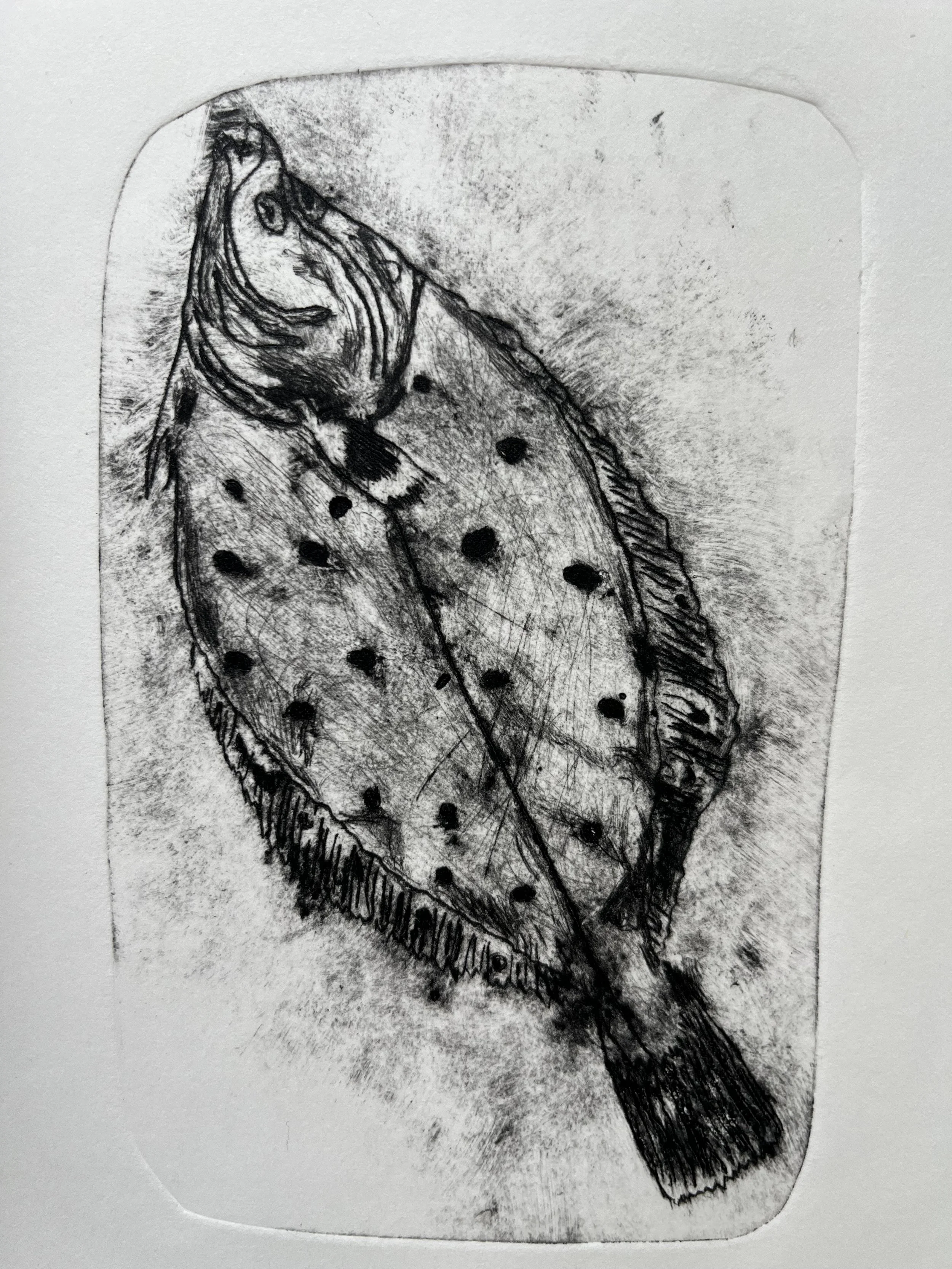 Etching on paper 2024