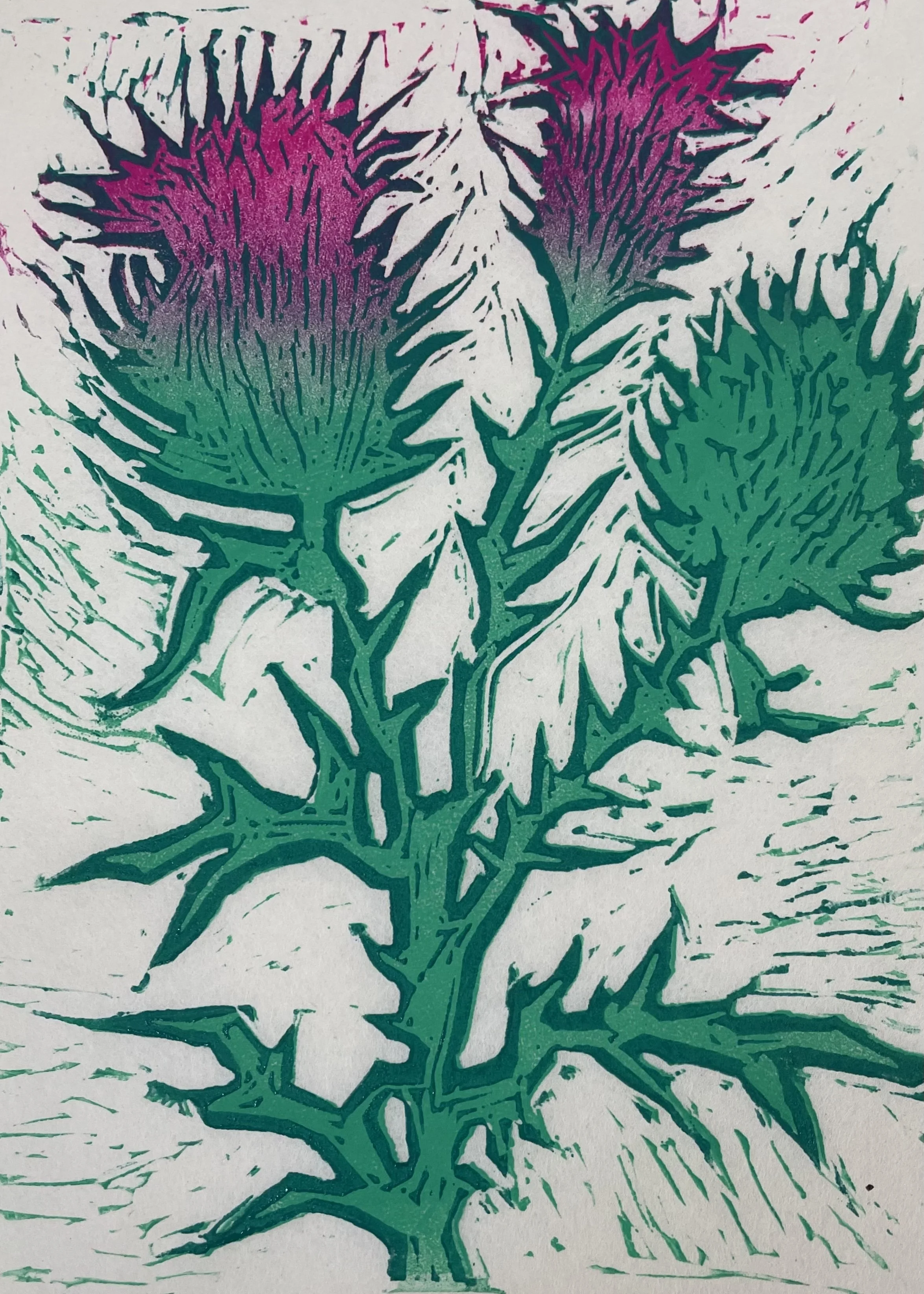 "Metolius Thistle" Lino cut print 2022