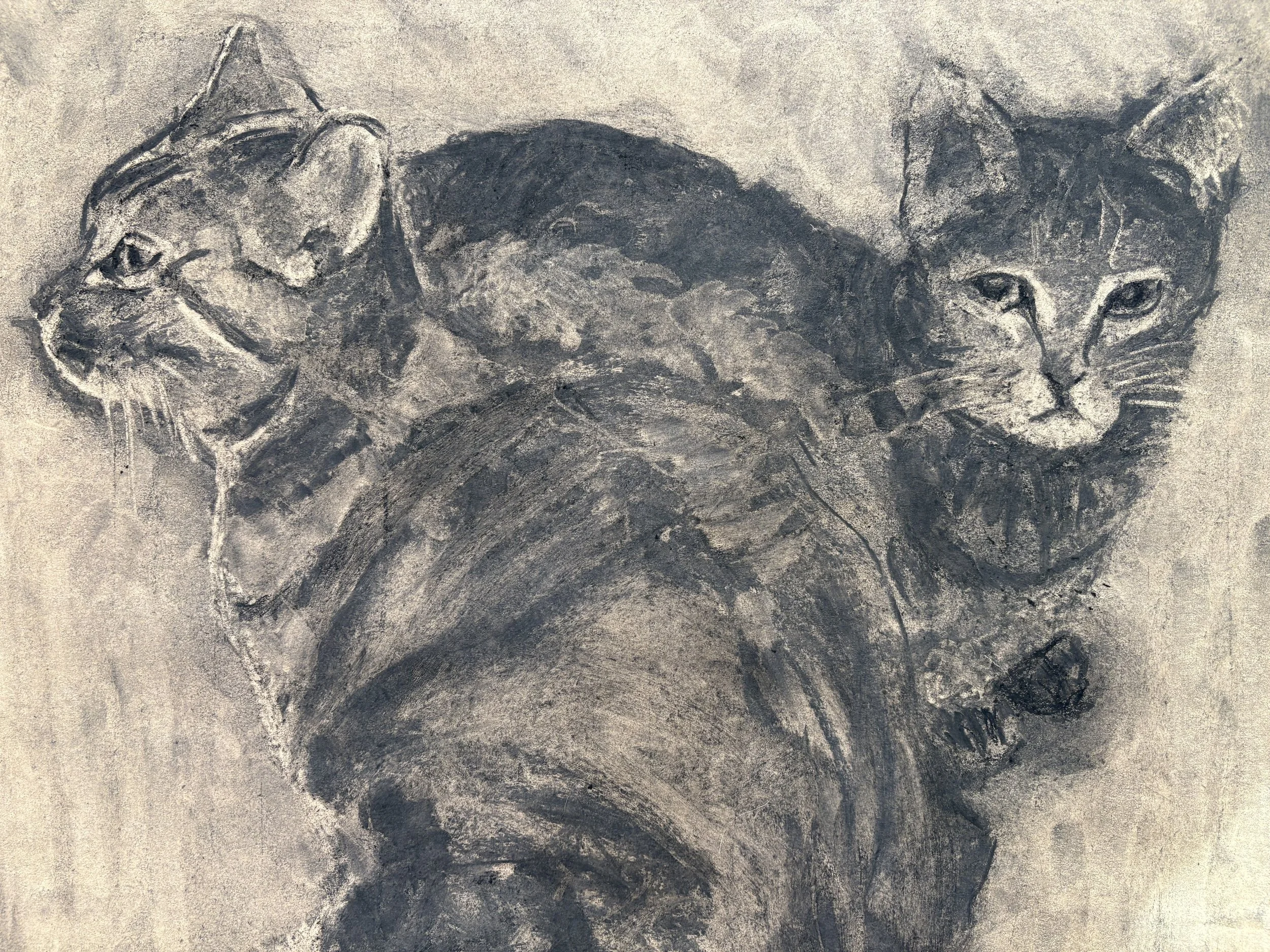 Charcoal on paper 2025