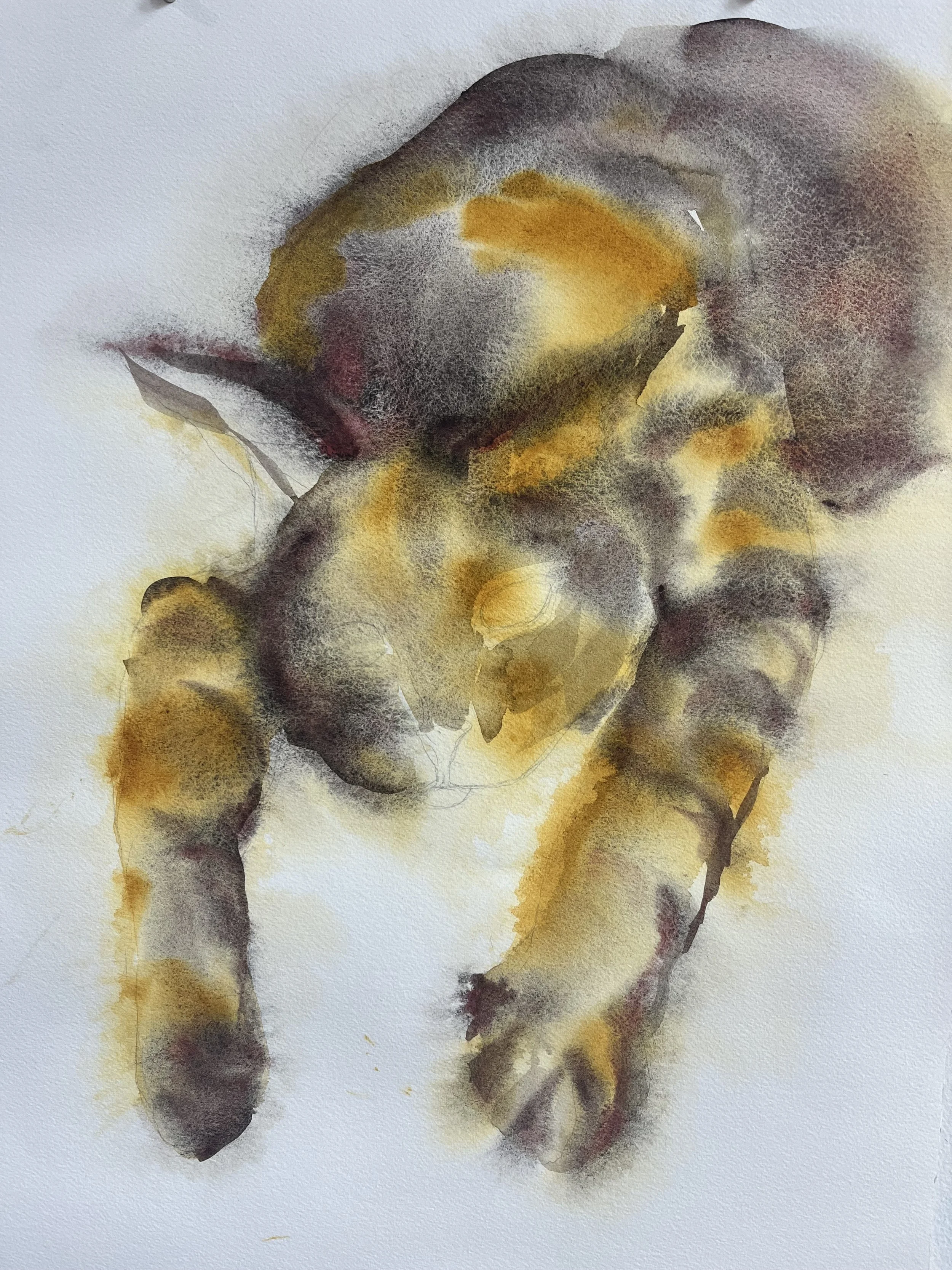 Watercolor on paper 2024