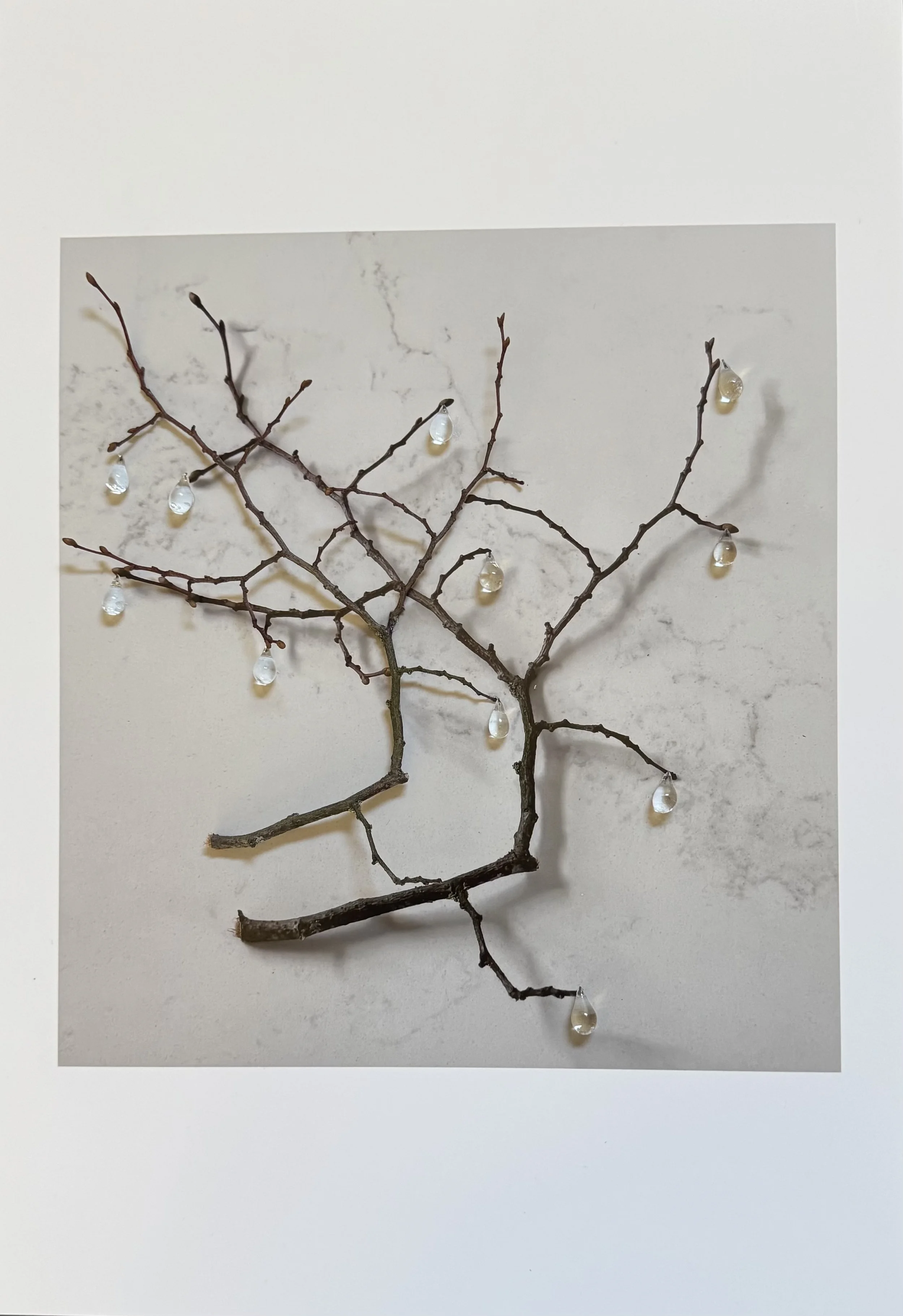 Photography & Assemblage on paper 2025