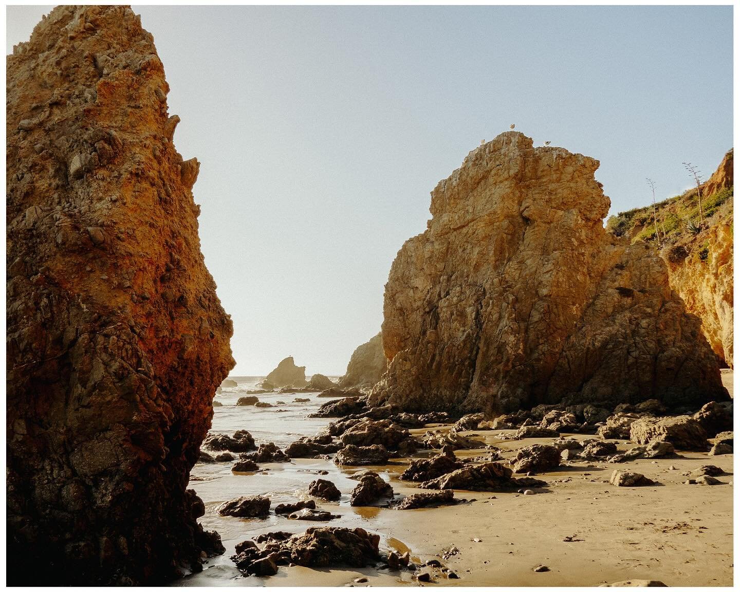 📍El Matador Beach 

Probably my favourite photos from California trip this time around. I had a nice big camera with me but I didn&rsquo;t use it once. All shot on the Sony RX100 VII point and shoot! 

Years ago when I was getting into photography @