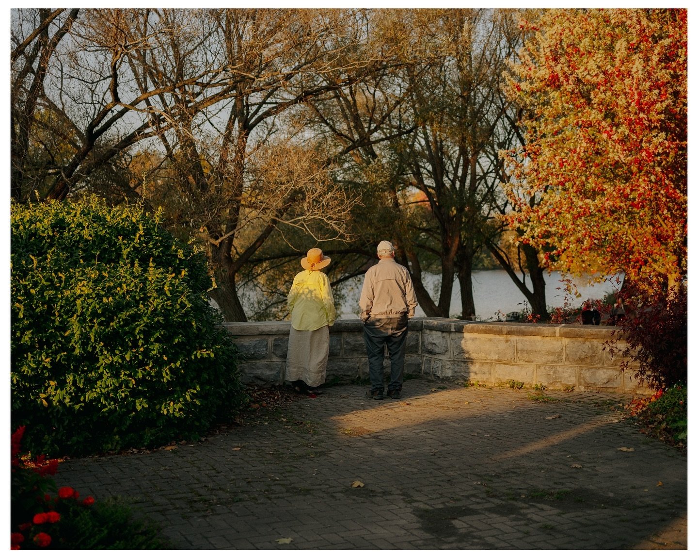 Fall weekend on the Nikon Zf