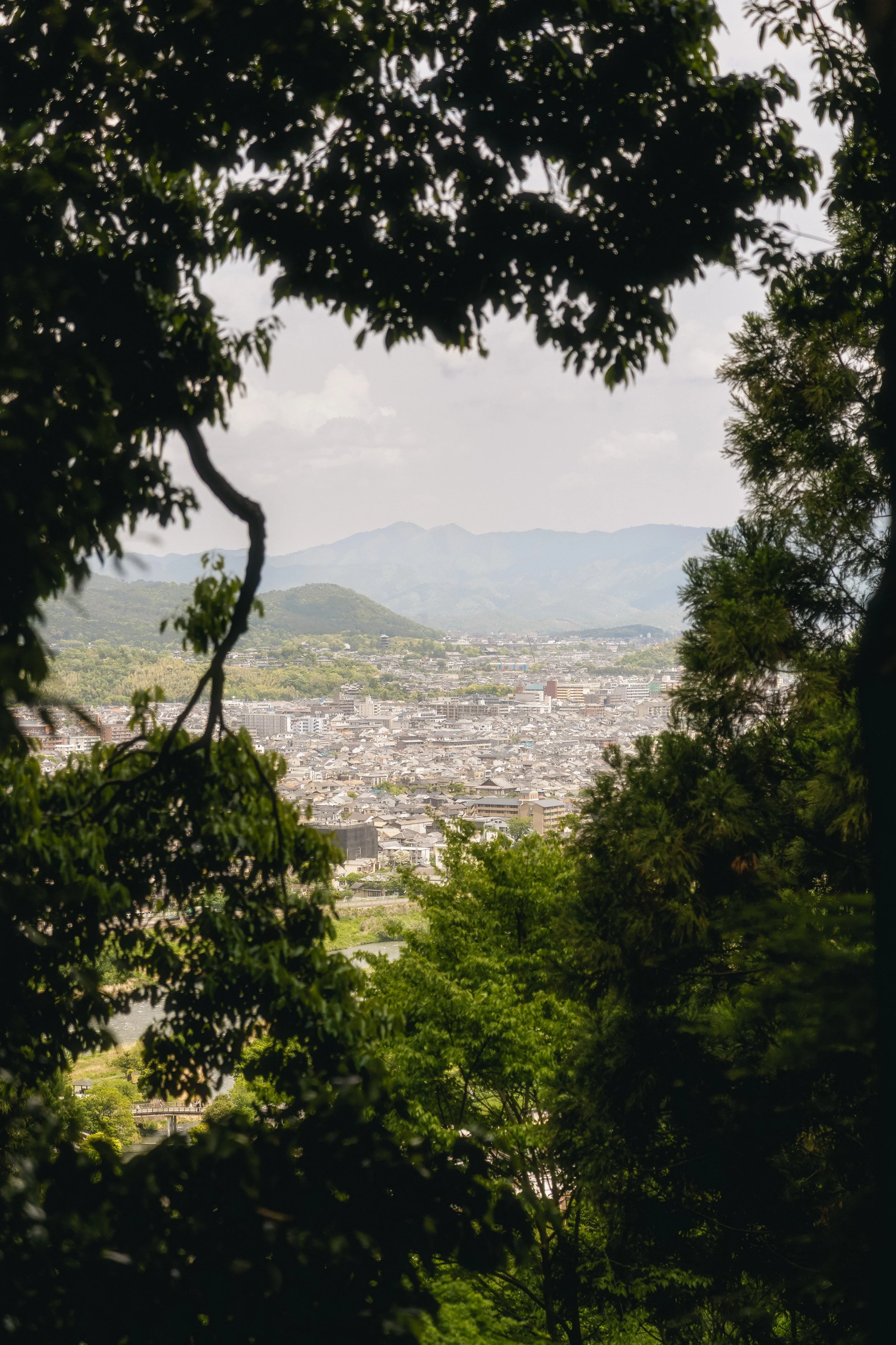 JG-Japan2026-89.jpg