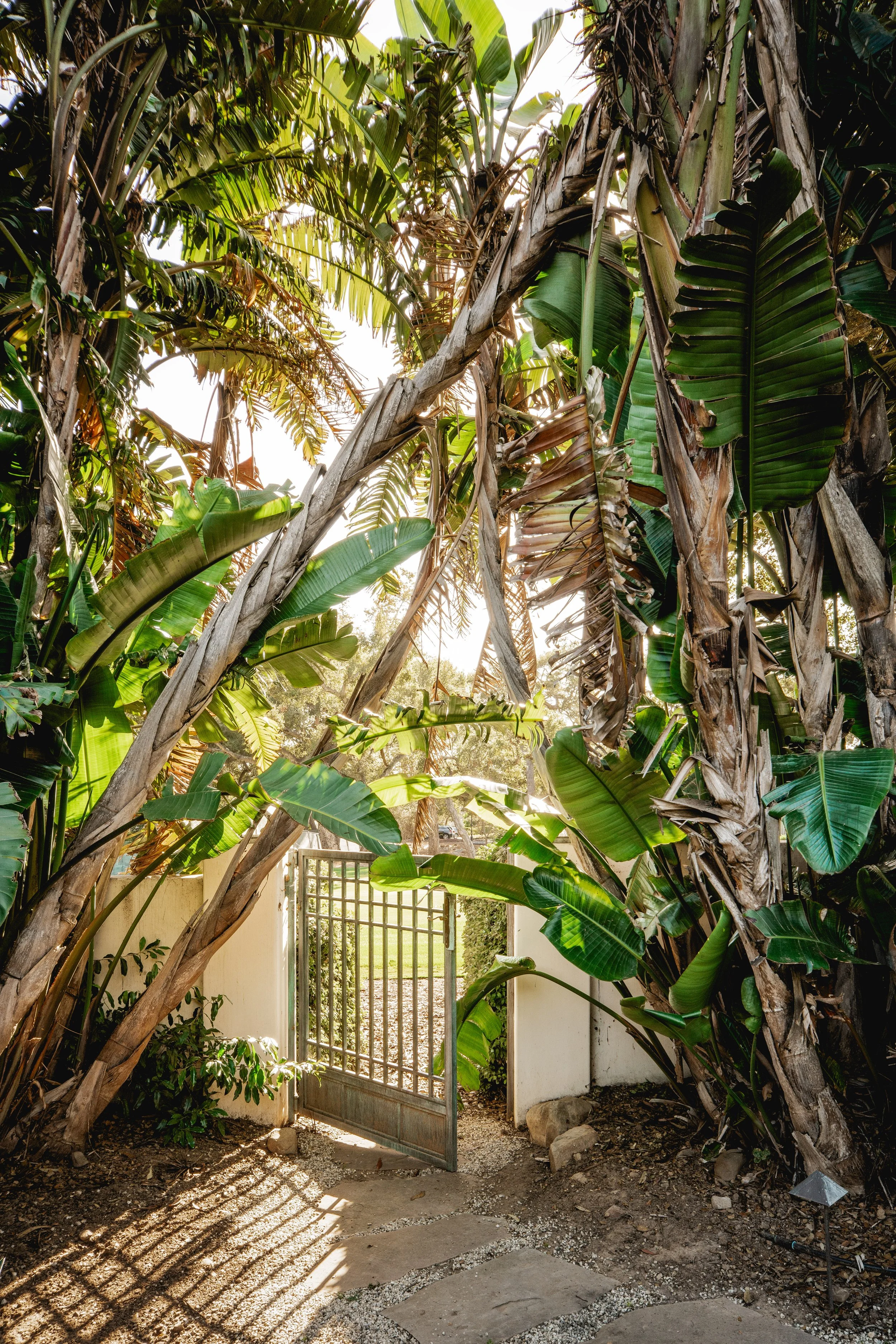 JG-2025BirnamWoodDrive-exterior-10.jpg