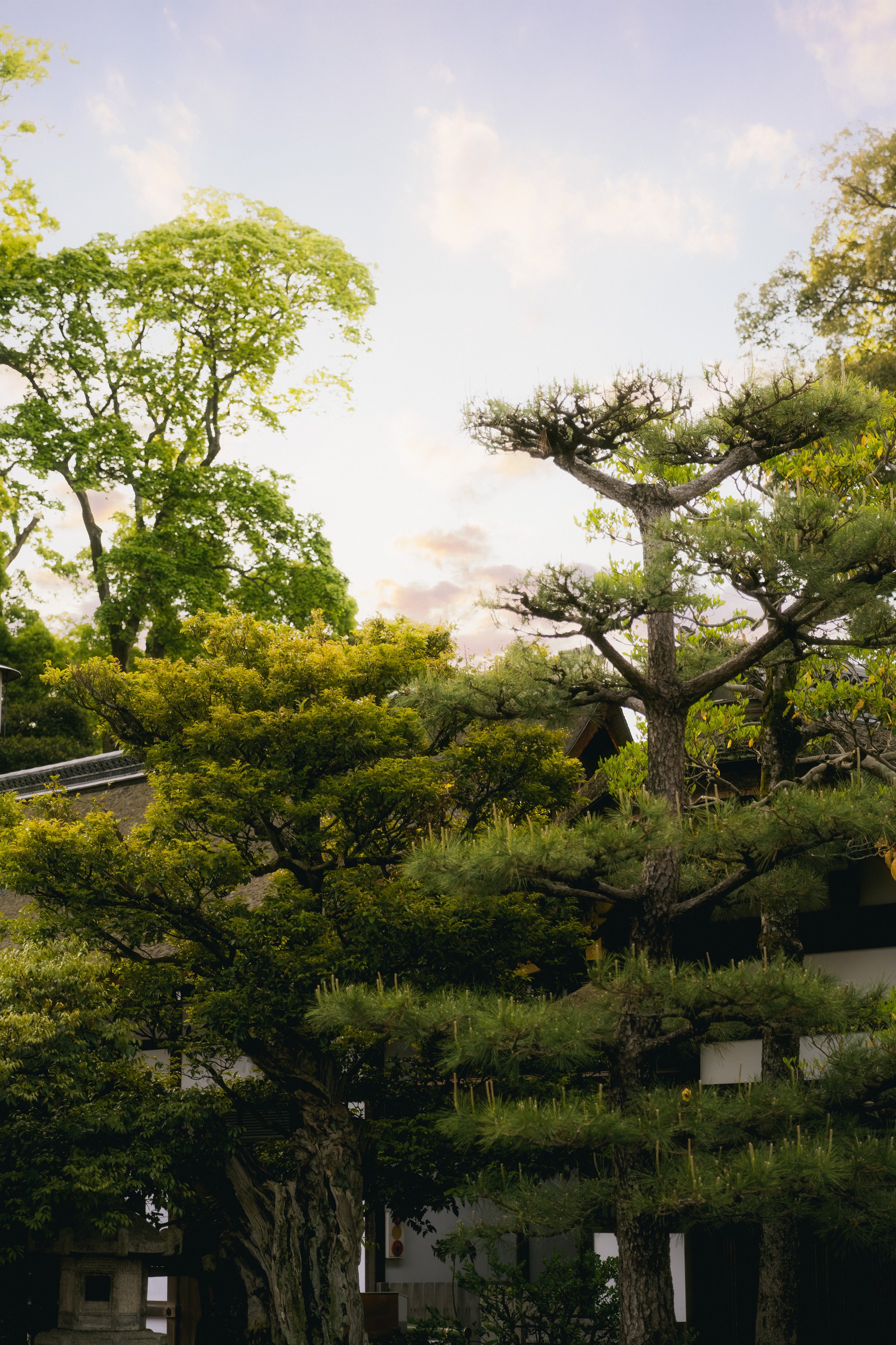 JG-Japan2026-56.jpg