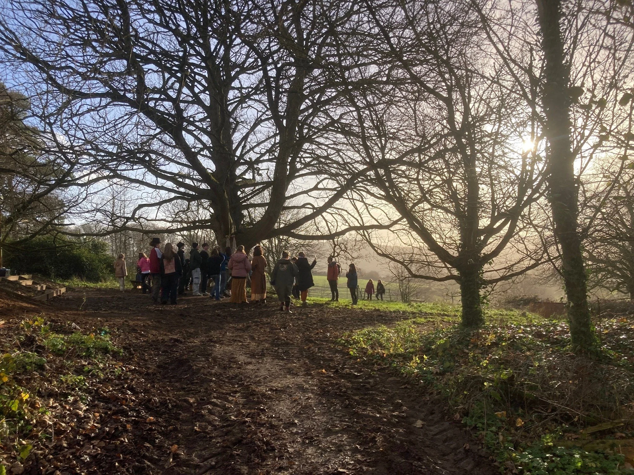 allGroveunder tree in winter.jpg