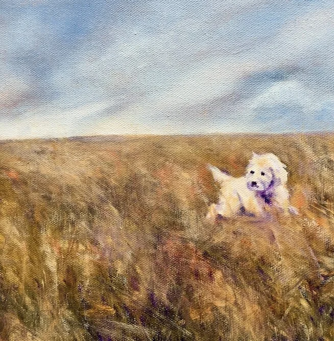 Come Play With Me! NFS