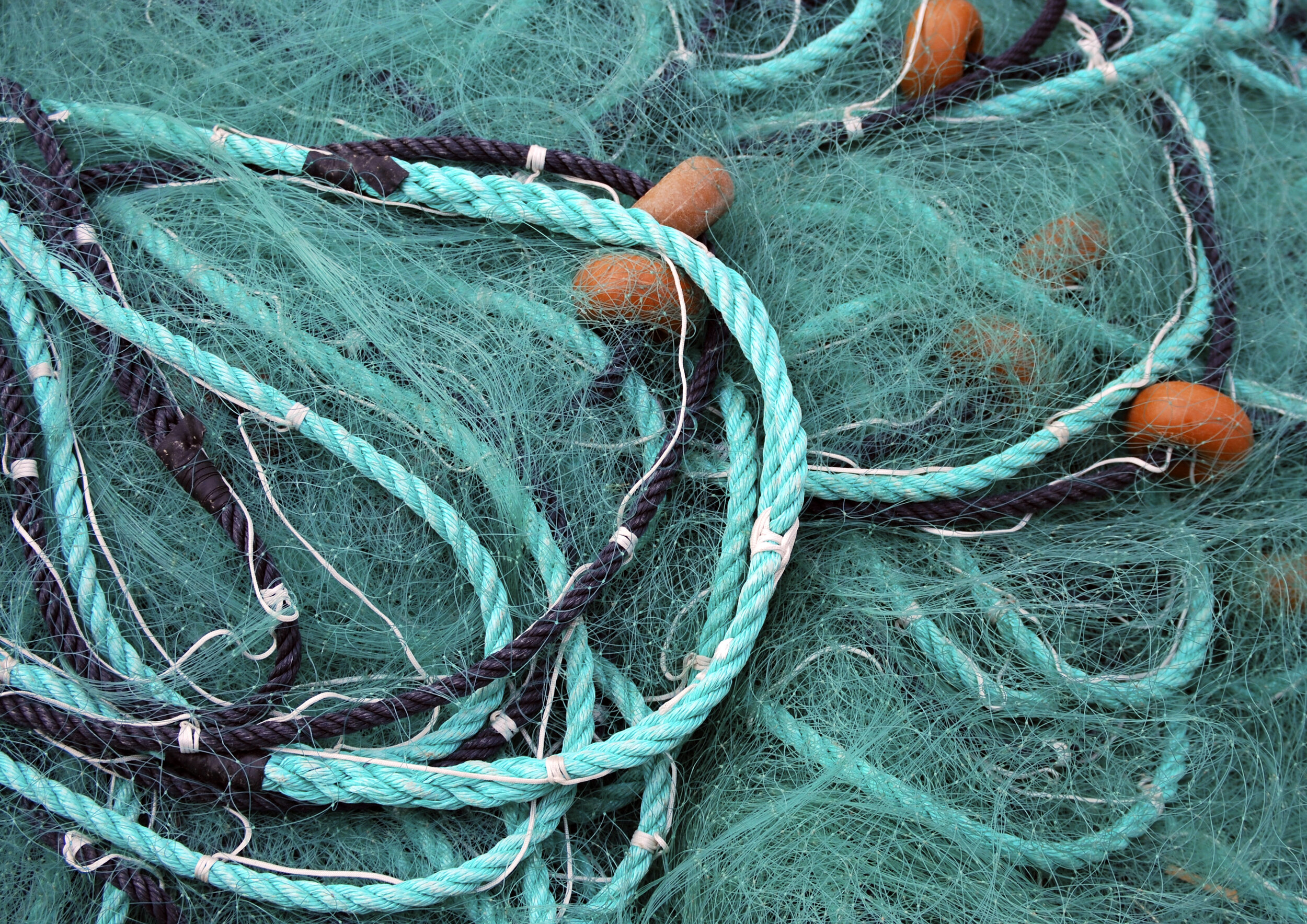 渔网的高清图片-千叶网