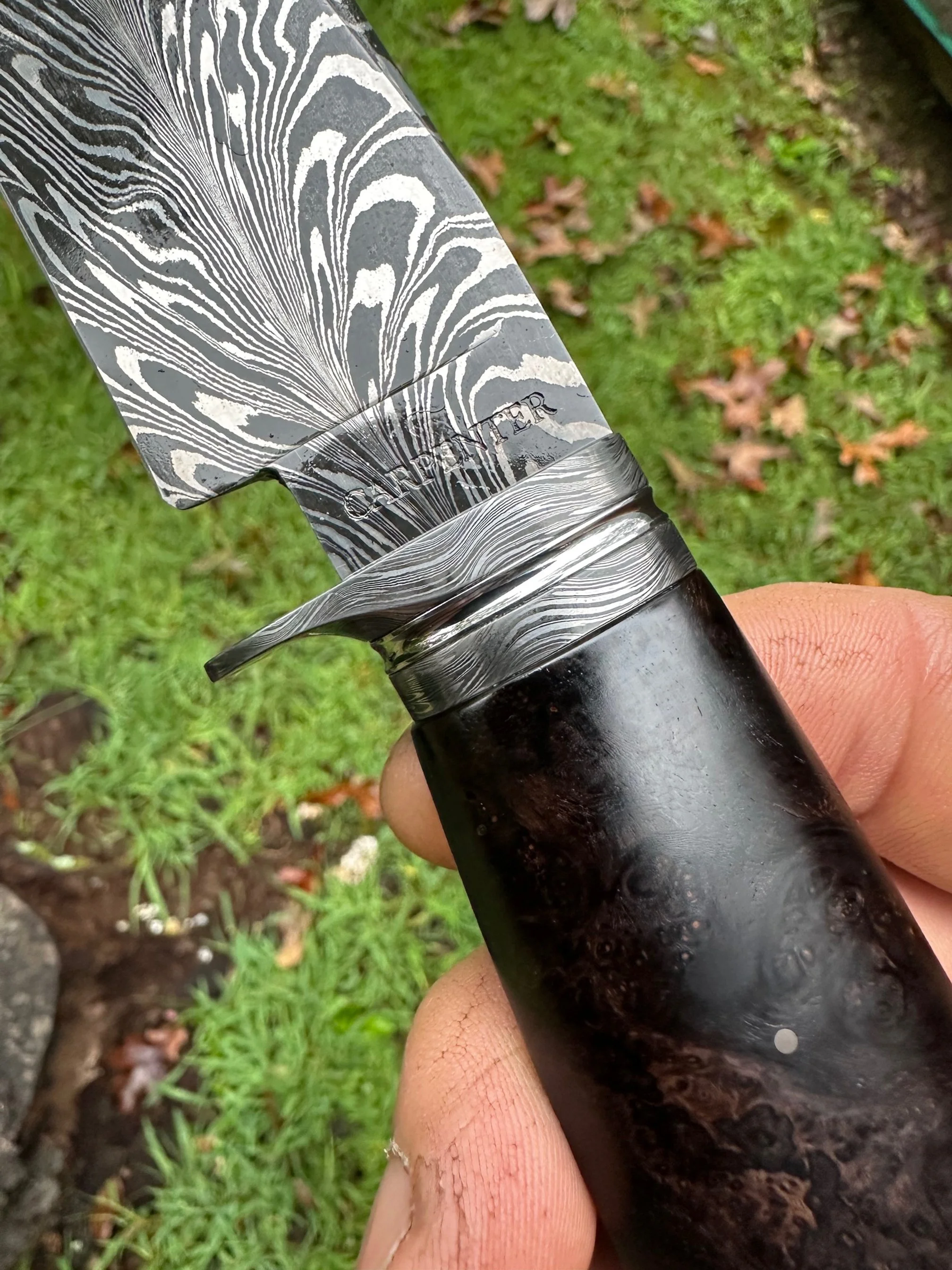 MS Feather Damascus 7 2025.jpg