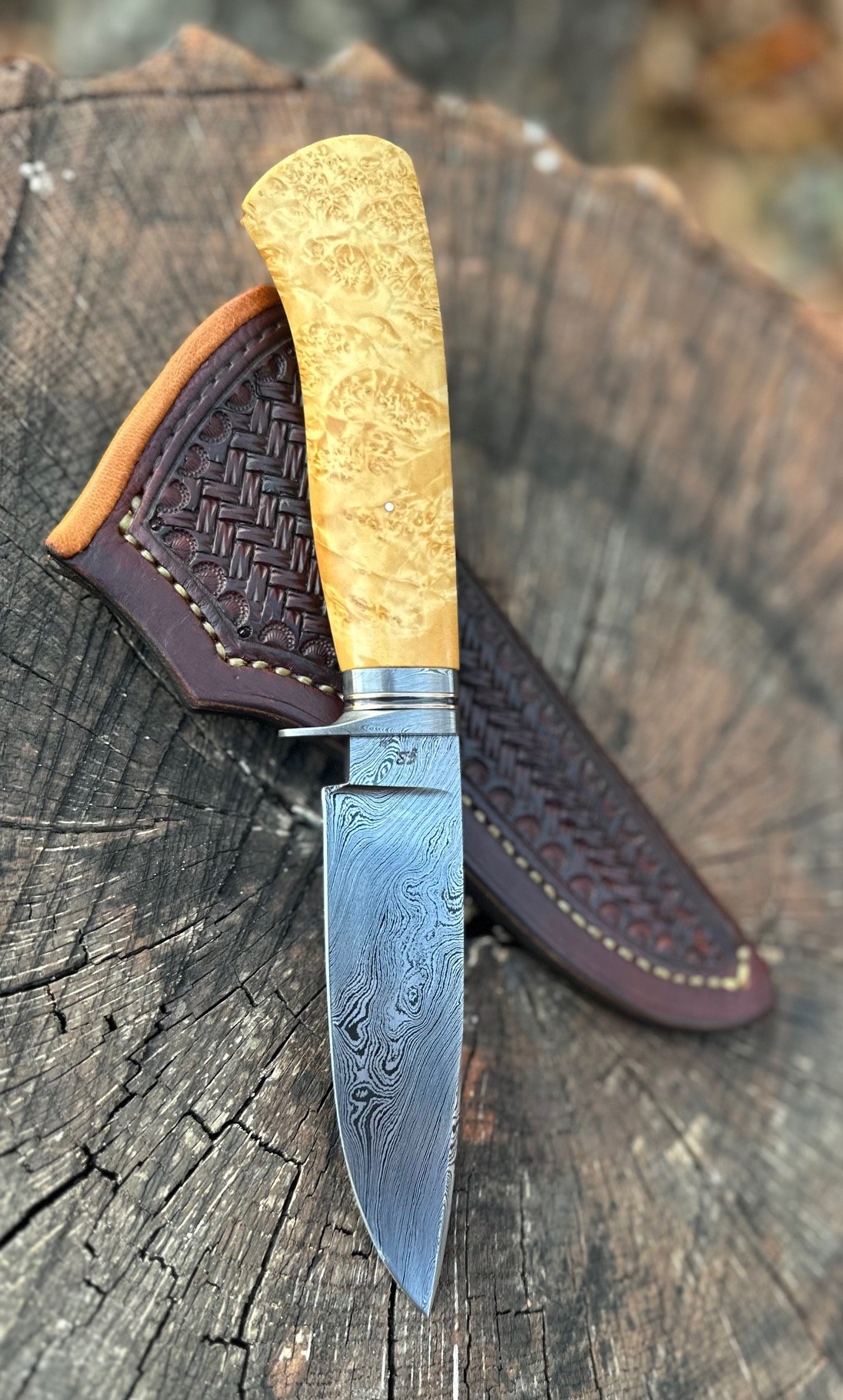 Drop Point Hunter Damascus Buckeye Burl 3 06-2024.jpg