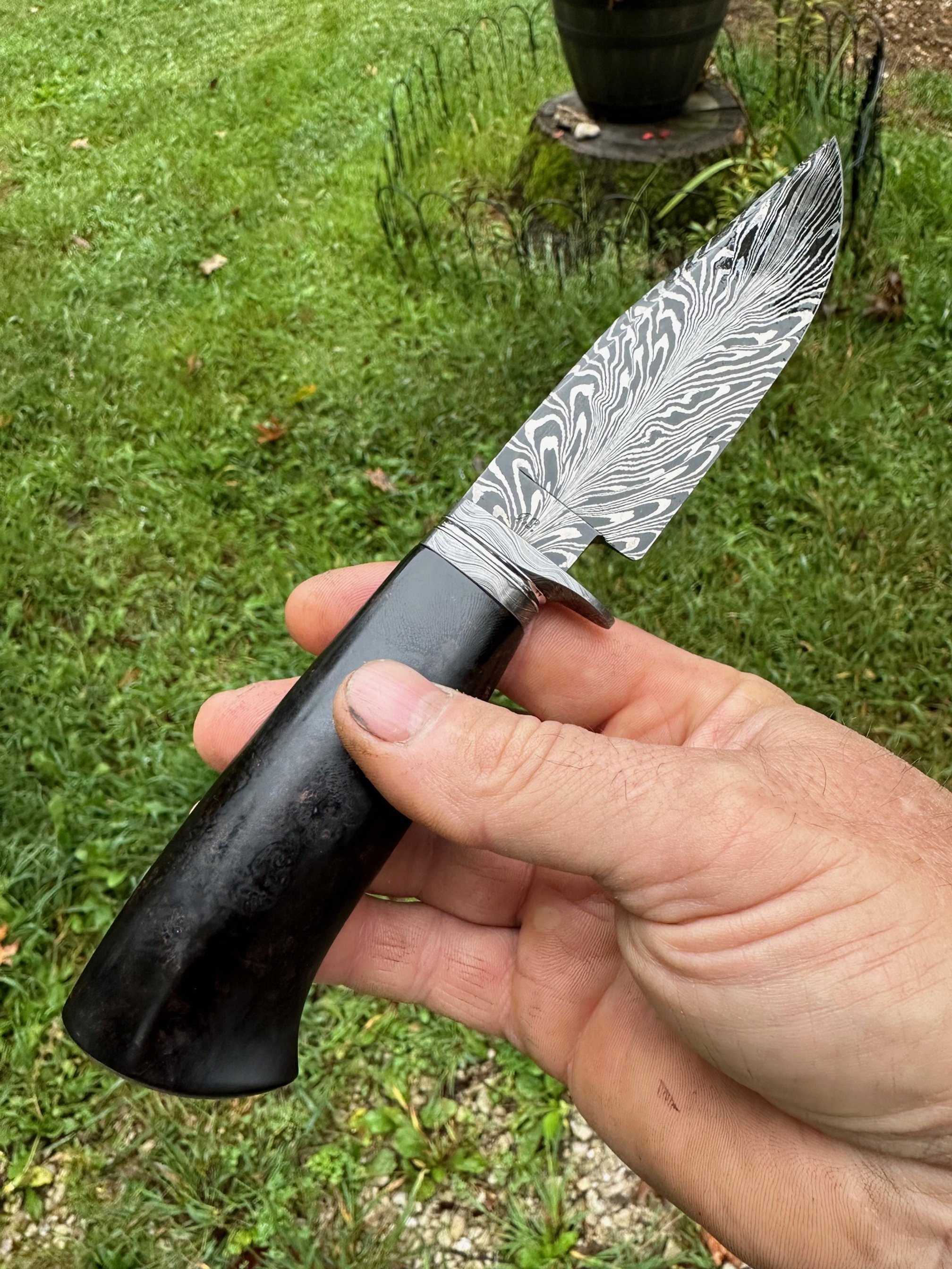 MS Feather Damascus 2 2025.jpg