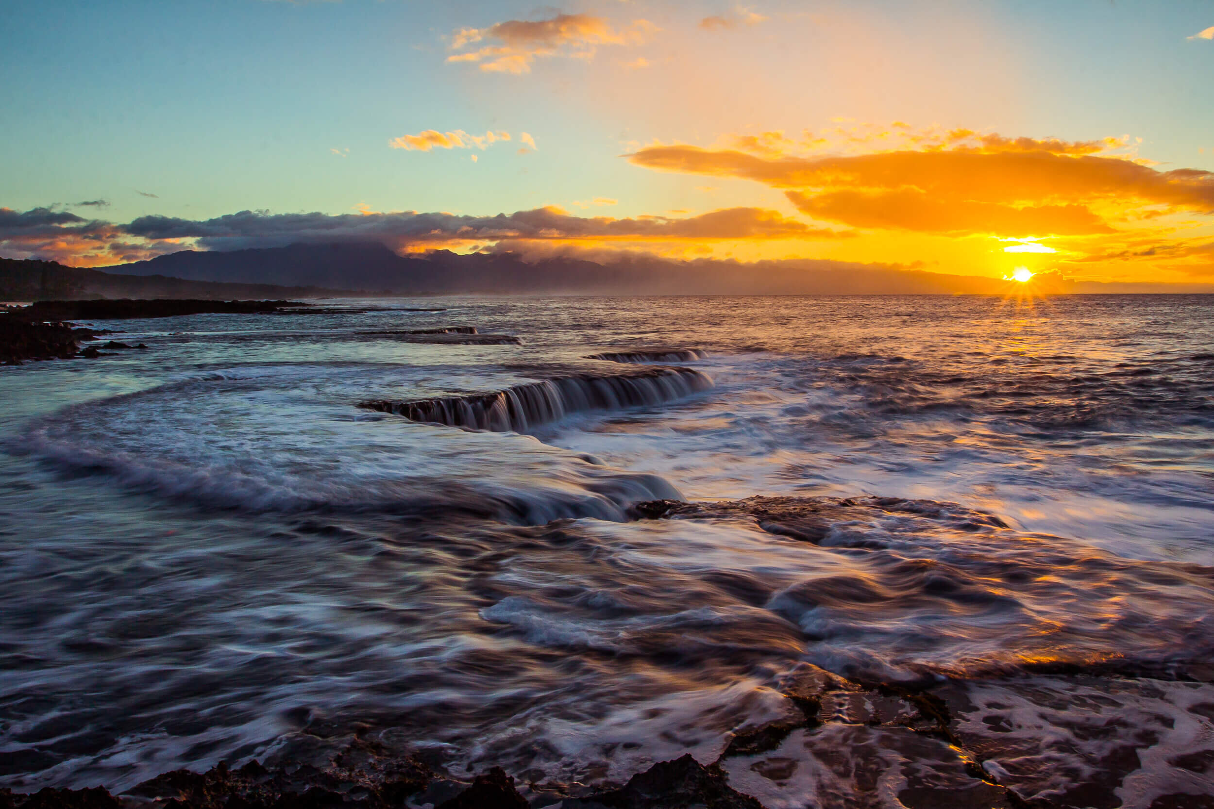 Shark's Cove Dreamscape.jpg