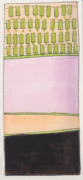 BandedField01.jpg