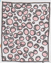 Bubble01.jpg