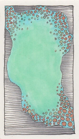 CellDivision01.jpg