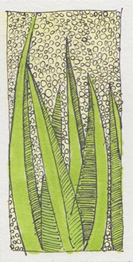 GreenLeaves.jpg