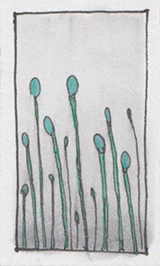 Reach01.jpg