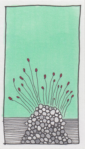 Spore01.jpg