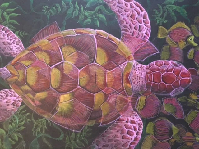 TURTLES 2.jpg