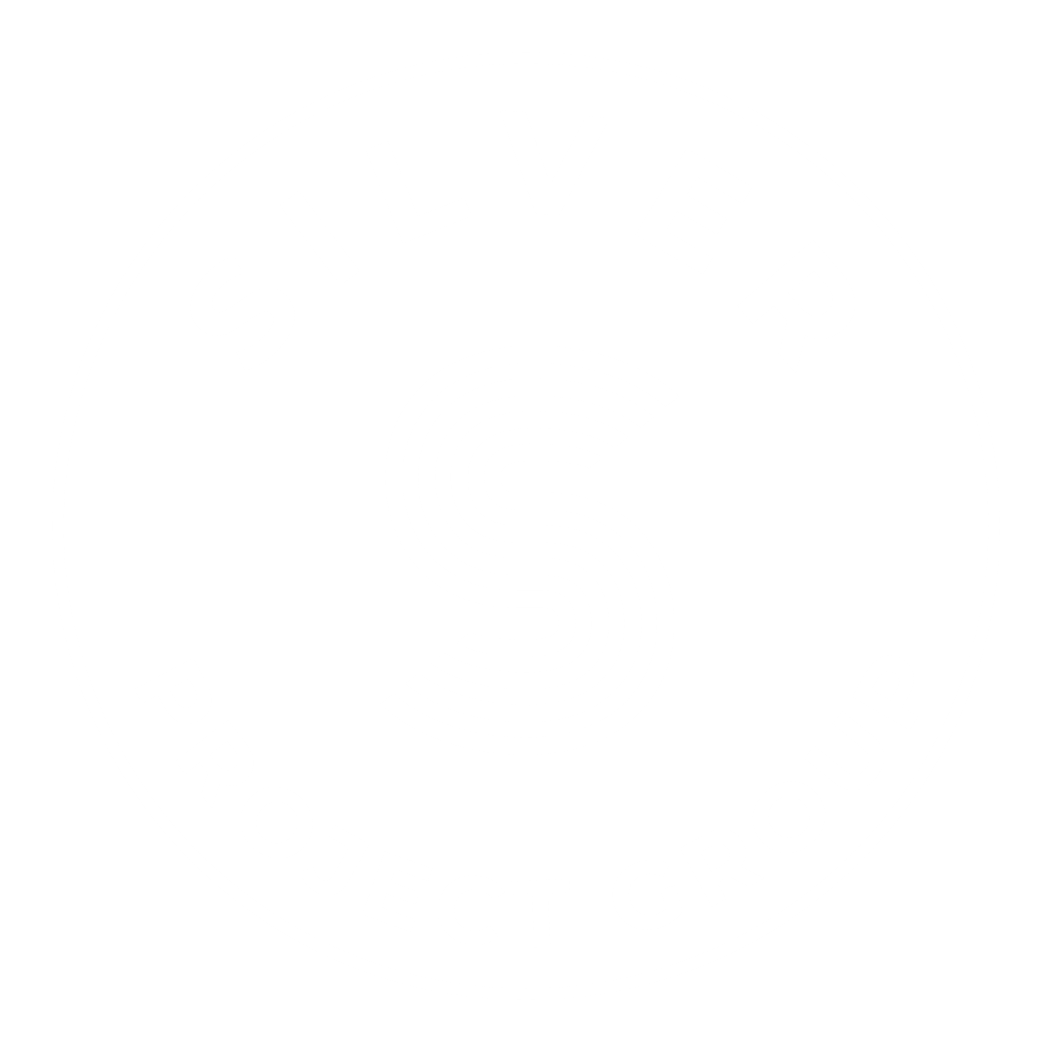 Silver Project Group