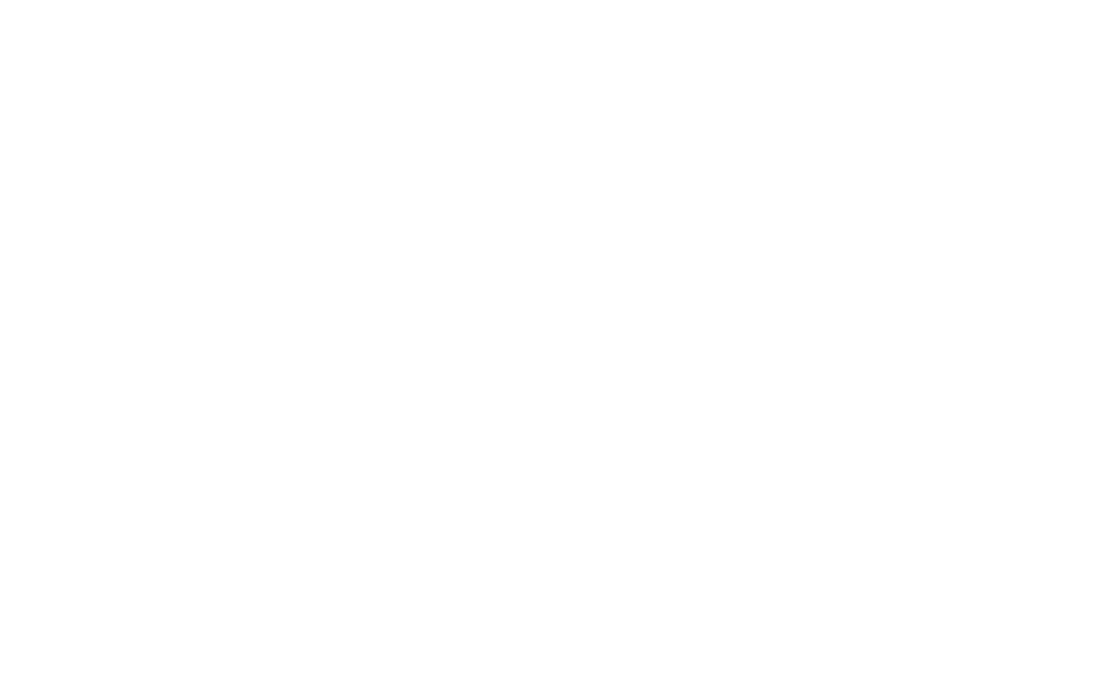 Doc Edge Festival Winner Laurel - Best Director