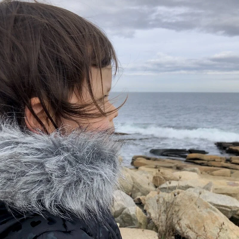 Shelter in Place podcast :: S2 E10 :: the breakdown.JPG