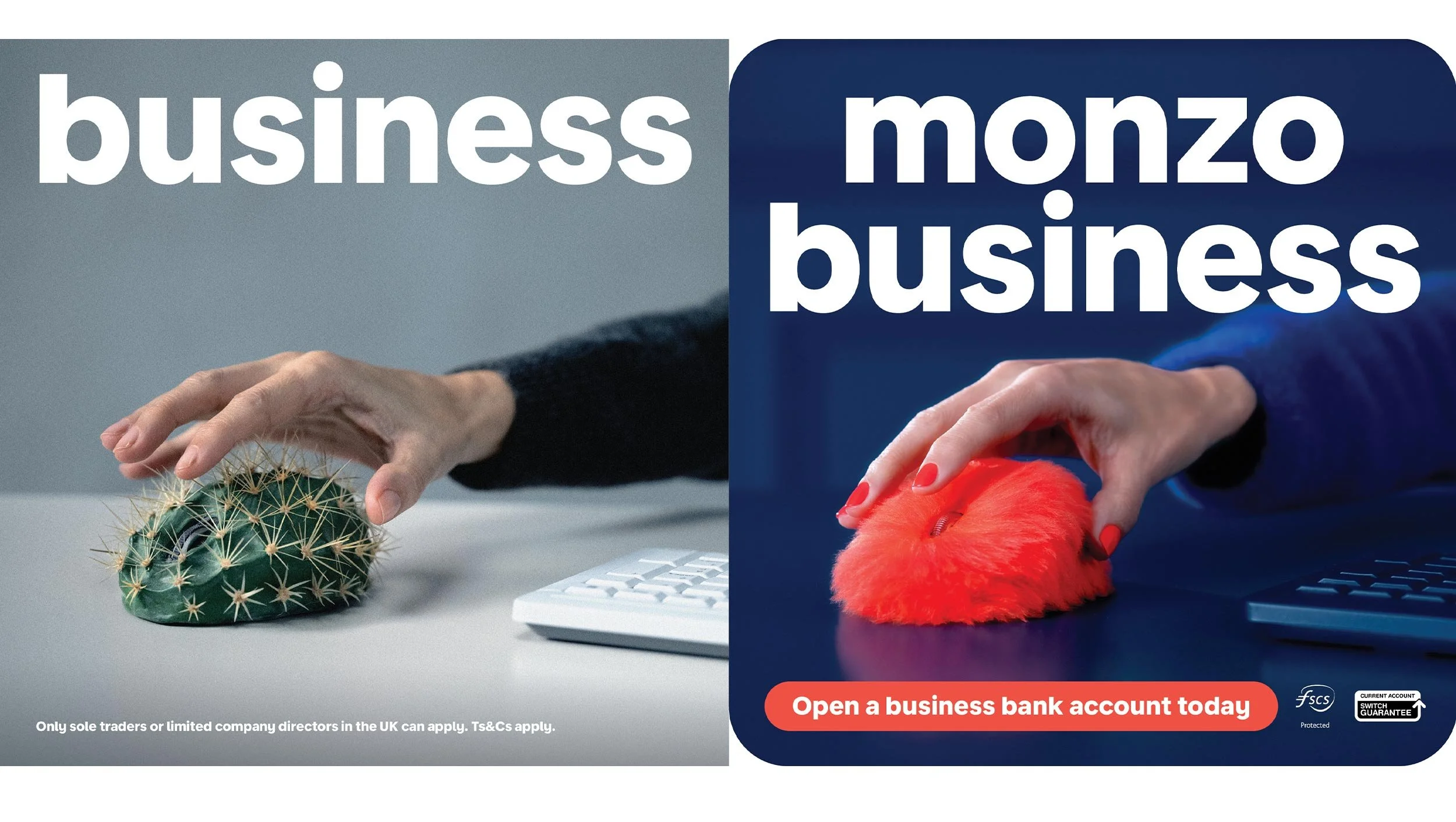 Uncommon-Monzo-1.jpg