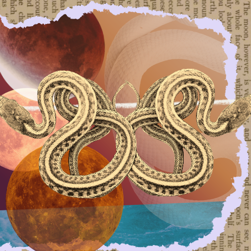 The Year of the Snake