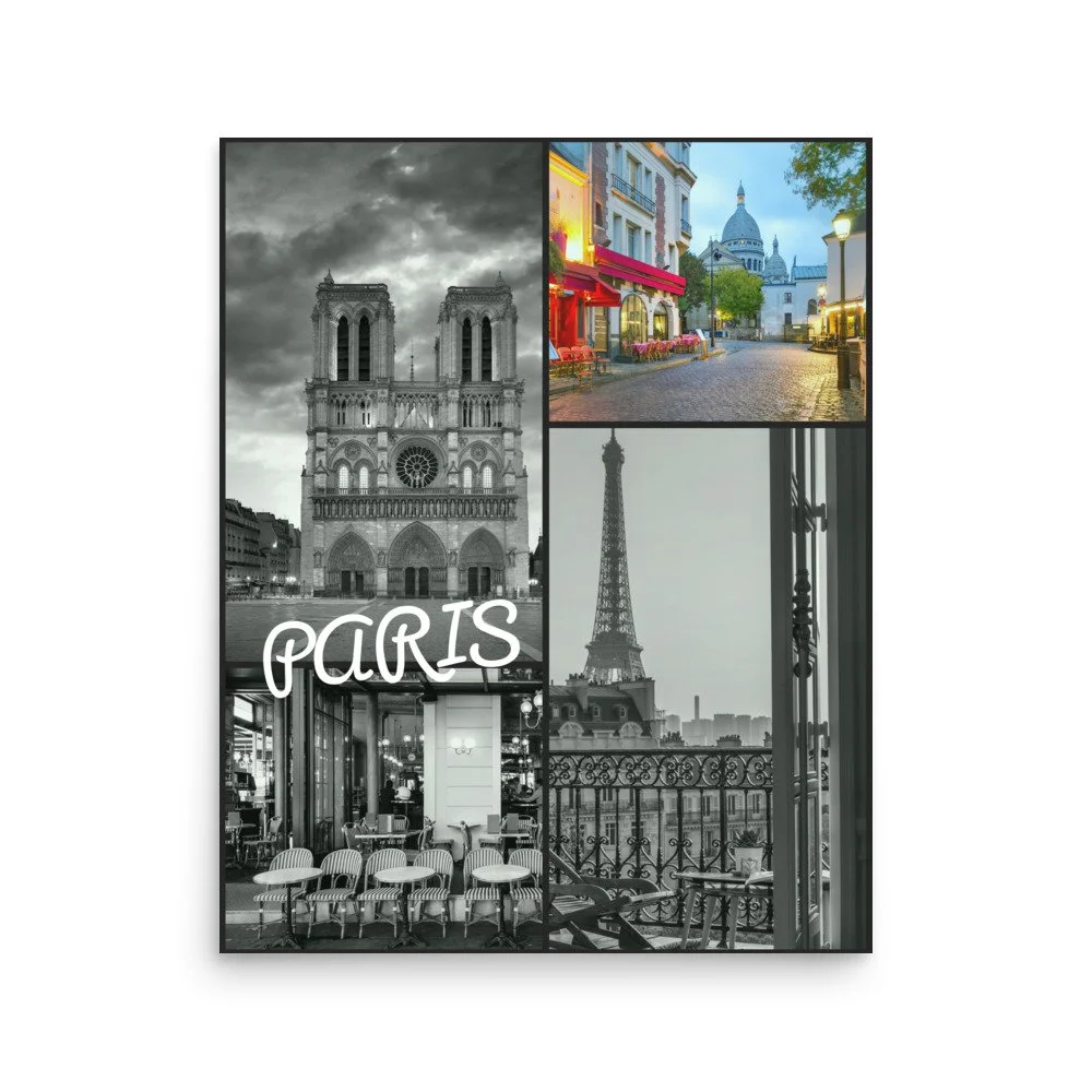 enhanced-matte-paper-poster-(in)-16x20-front-6308065d9983e.jpg