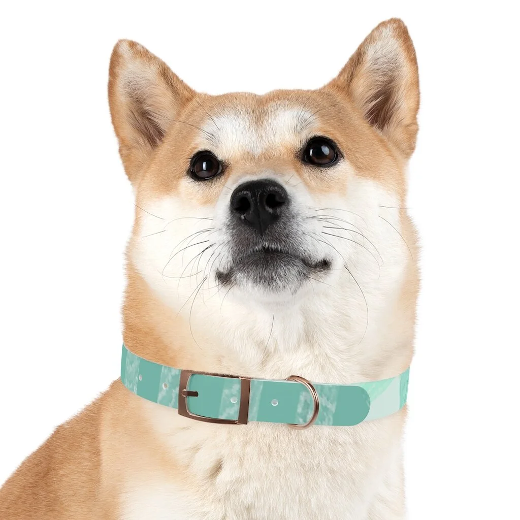 4fc4f055f871fba4ef7661d179c1e2c7