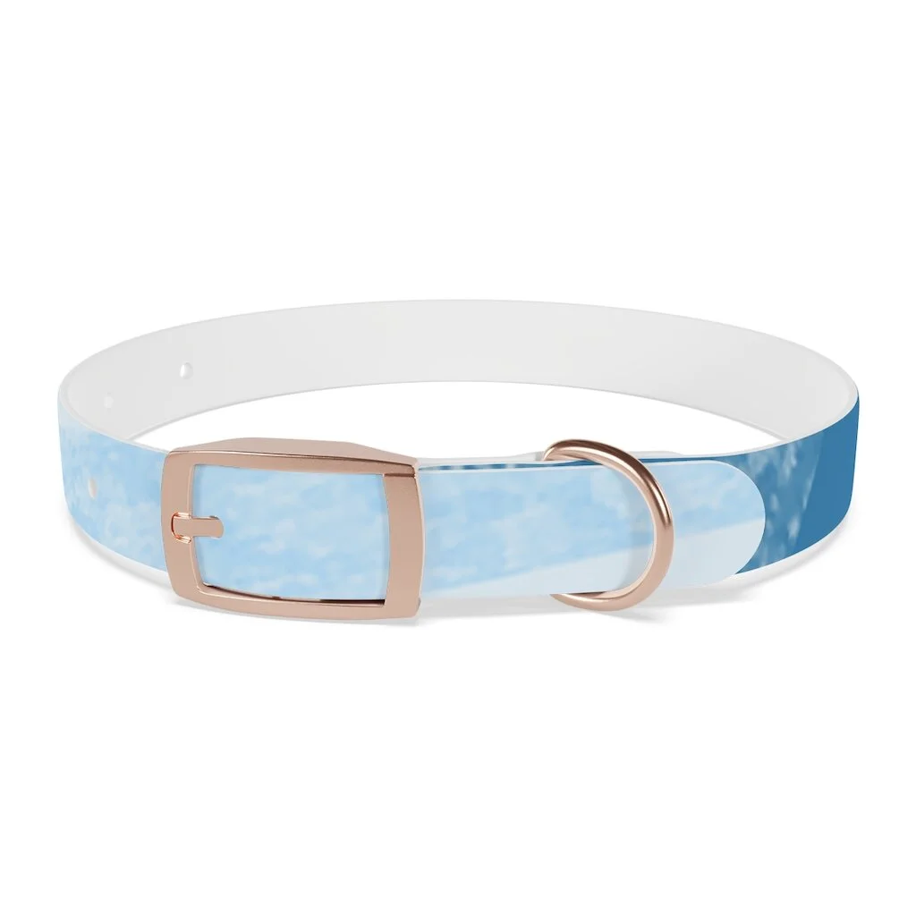 339df91d3d4c25f27fcbc58d9c63689f