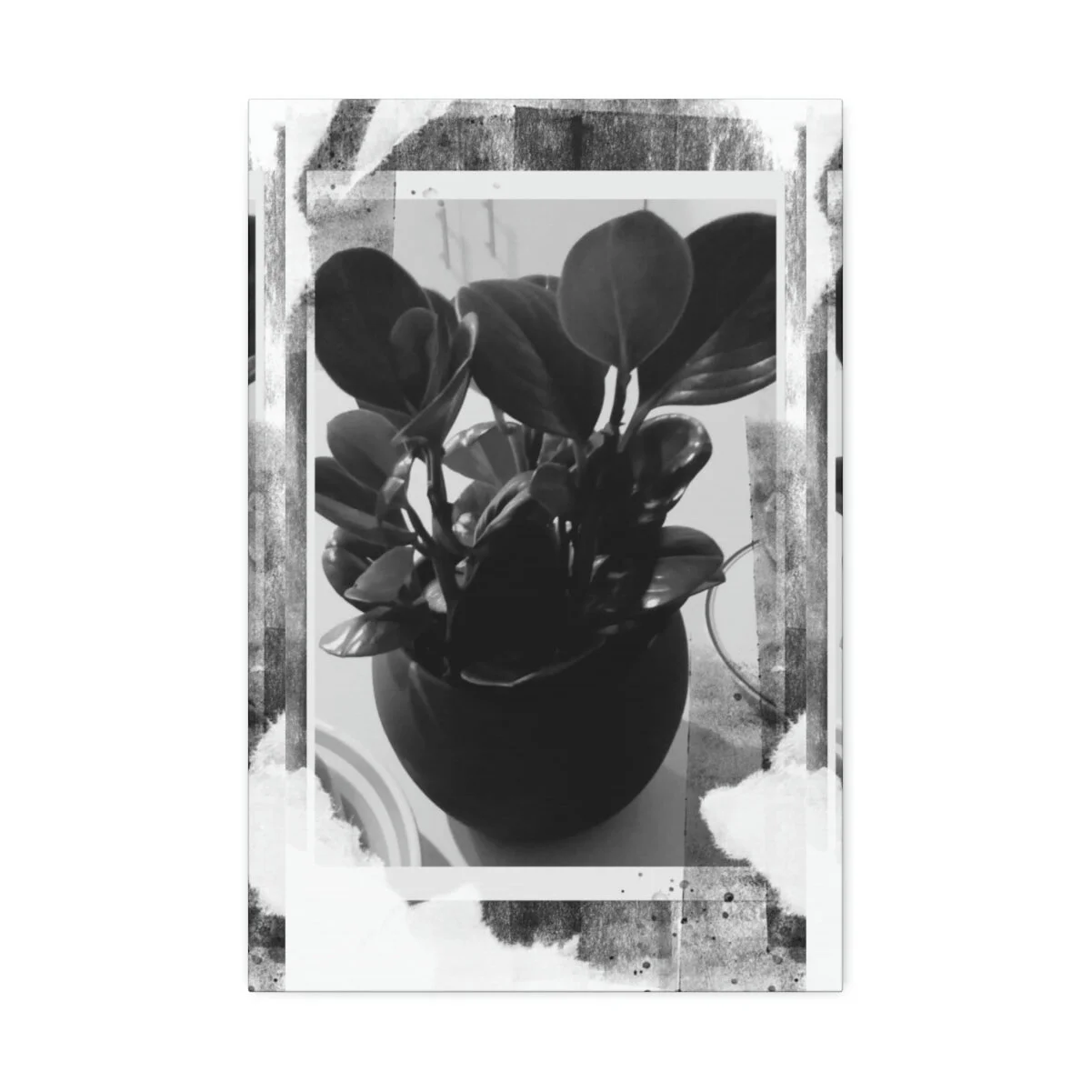 c55243b80dda34a5c12c52ce73255a2f