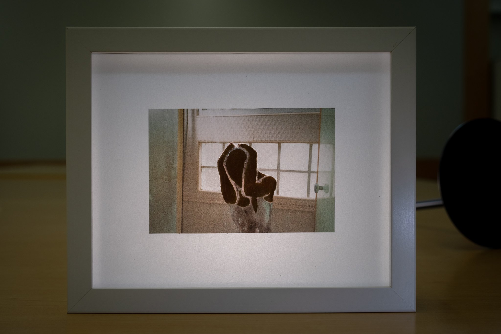 disappear_vellum_06.jpg