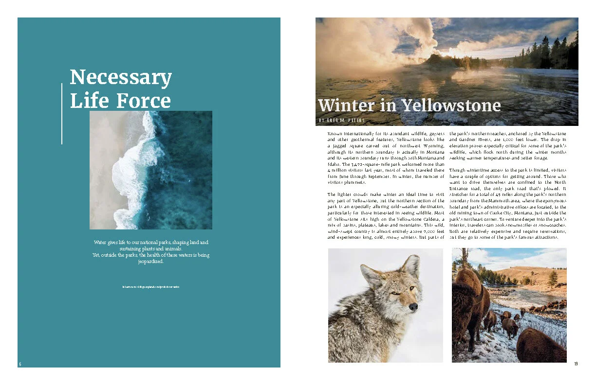 Final_Green Planet_Magazine imgs_Page_06.jpg