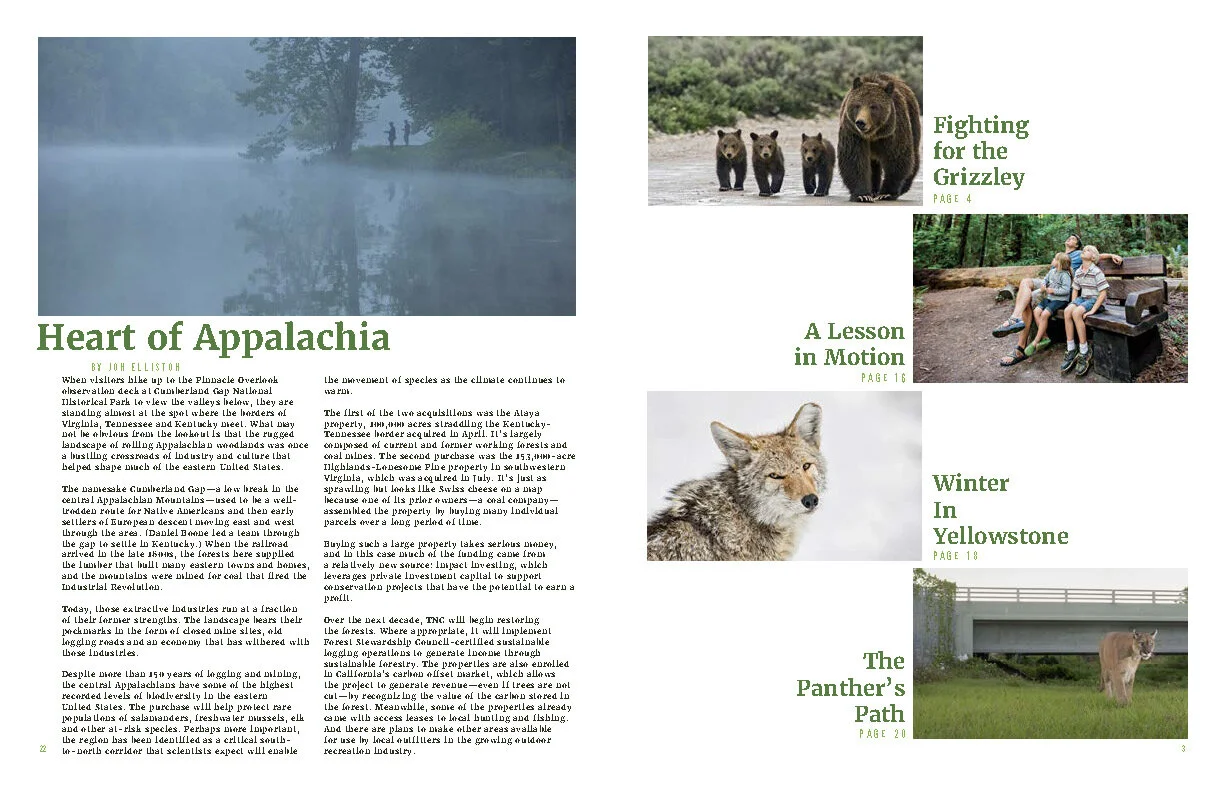 Final_Green Planet_Magazine imgs_Page_03.jpg
