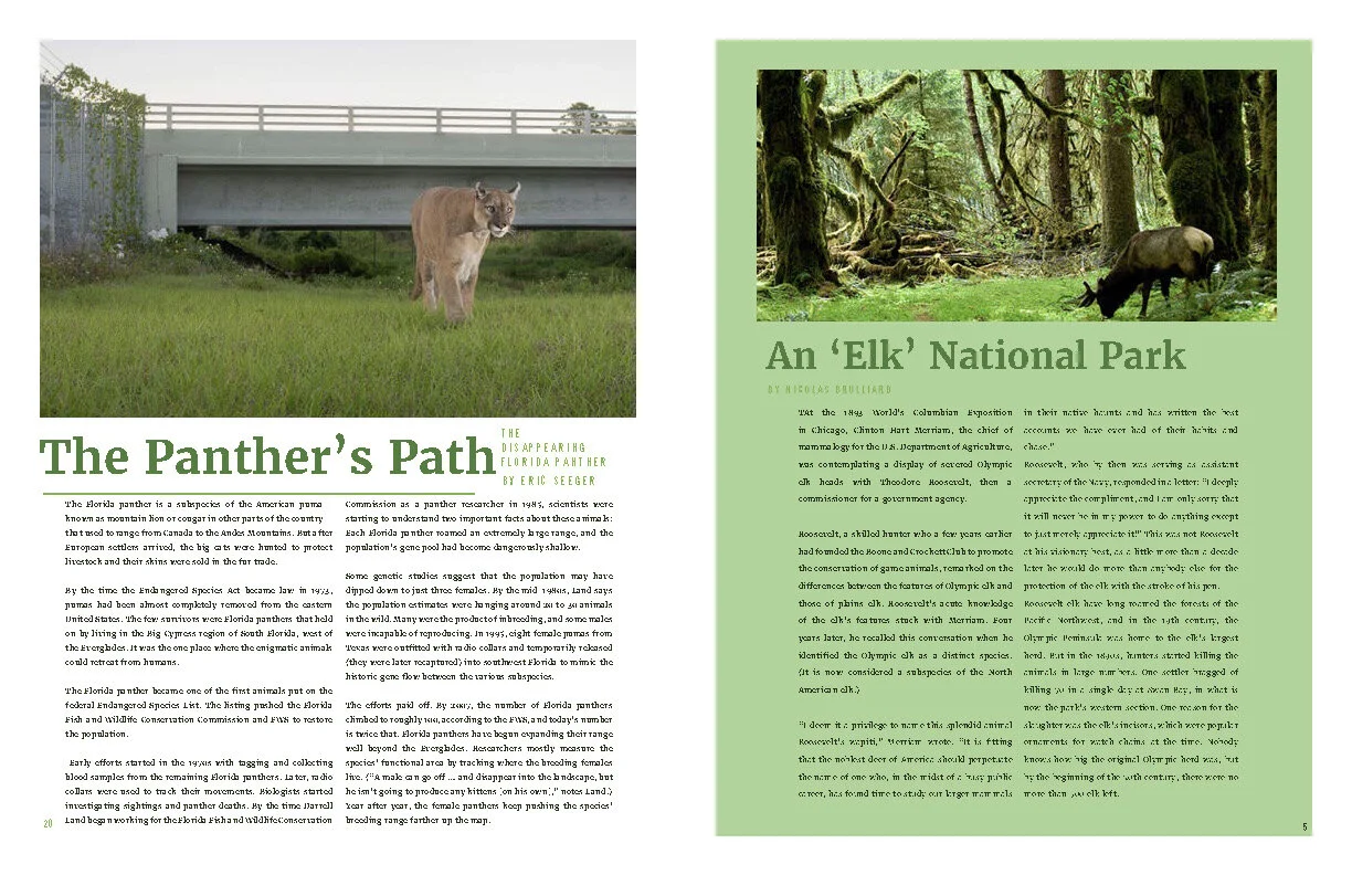 Final_Green Planet_Magazine imgs_Page_05.jpg