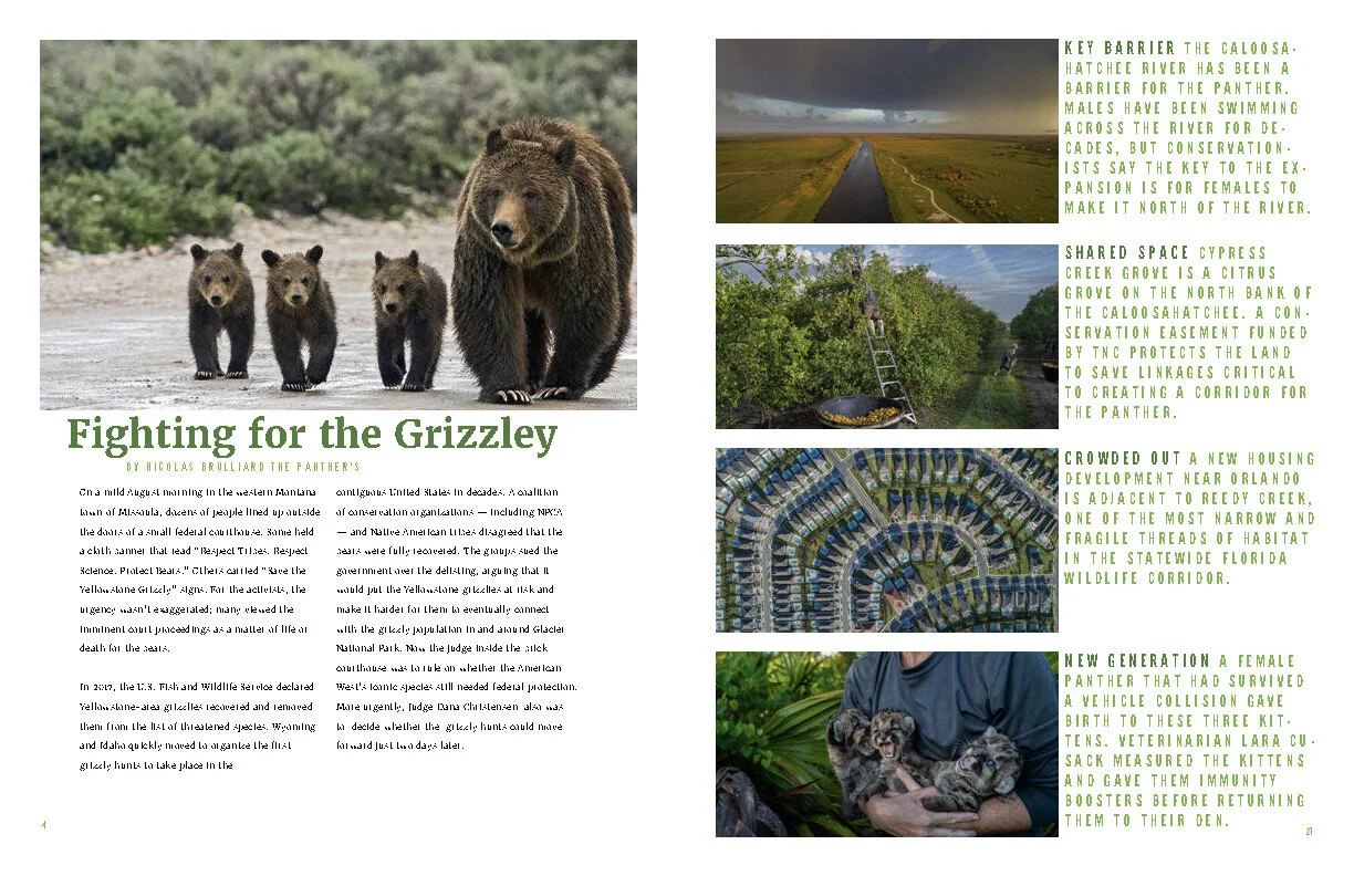 Final_Green Planet_Magazine imgs_Page_04.jpg