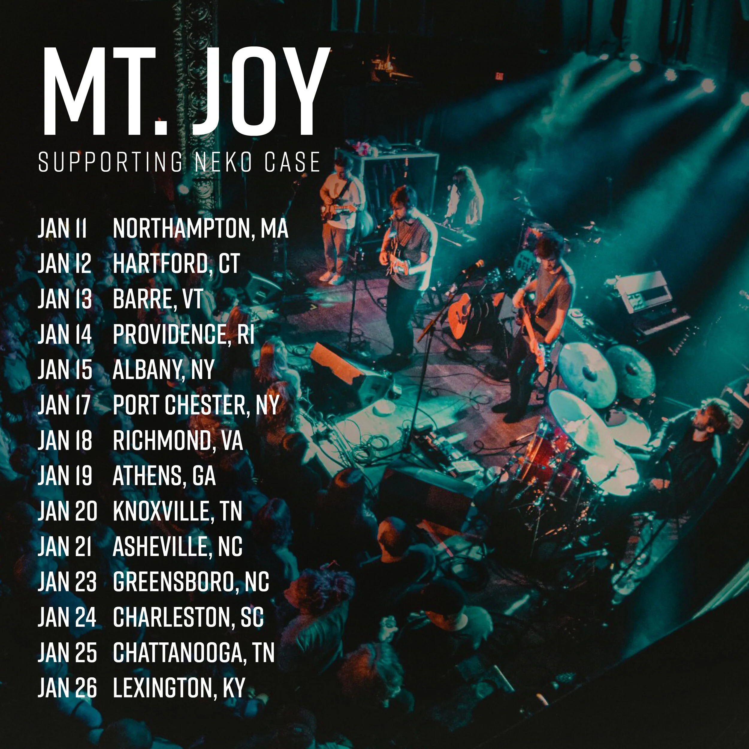 neko case final mt joy.jpg
