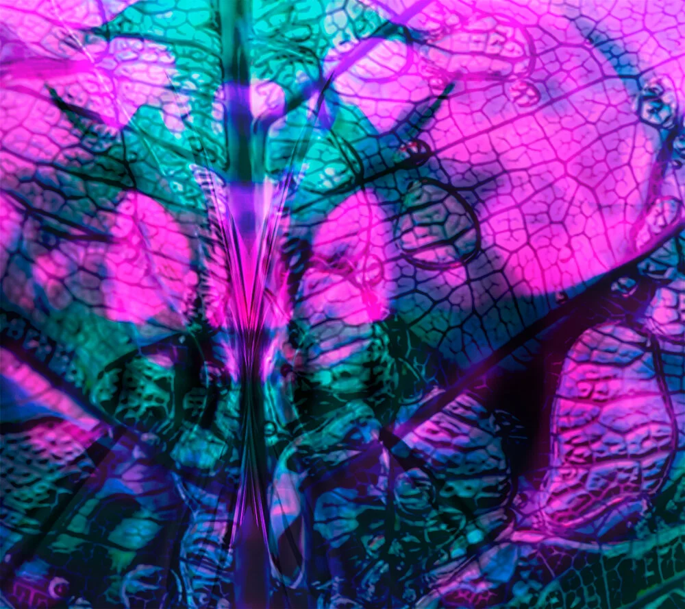 harrell_composite_1.jpg
